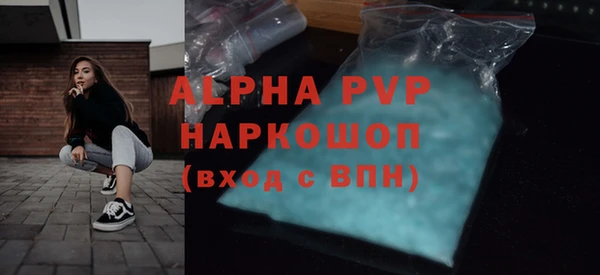 сатива Аша