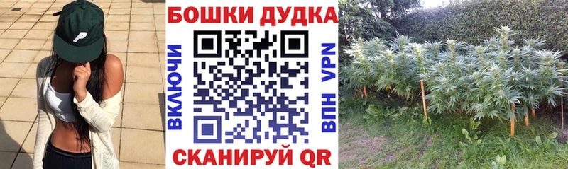 Бошки Шишки VHQ  Пионерский 
